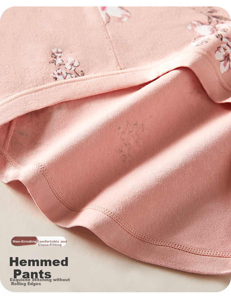Hengyuanxiang Women's High-Waist Plus Size Antibacterial Crotch Triangle Panties for Middle-Aged And Elderly, 4-Pack 11