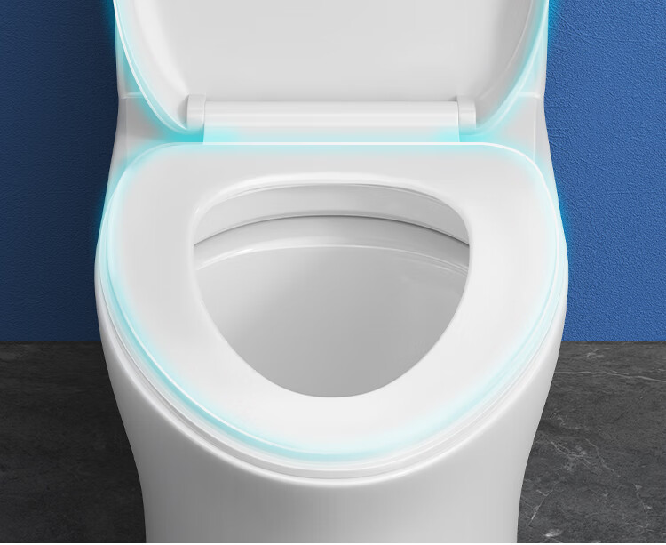 Larsd Toilet Seat Cover, Universal High-Quality Toilet Seat Cover, Thickened V-Shaped Toilet Seat Cover with Slow-Close Mechanism V01 17
