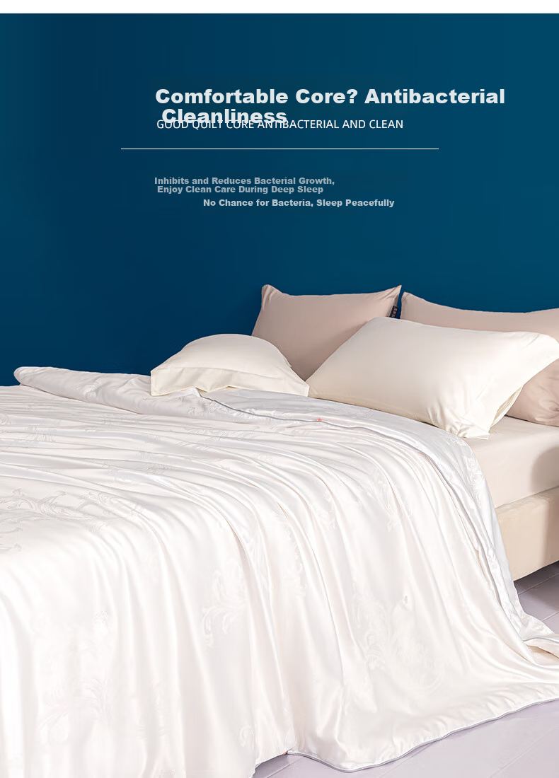 Hengyuanxiang 100% Natural Silk Comforter [1 Jin Filling] All-Season Spring And Autumn Quilt 2x2.3m Approximately 5 Ji 4