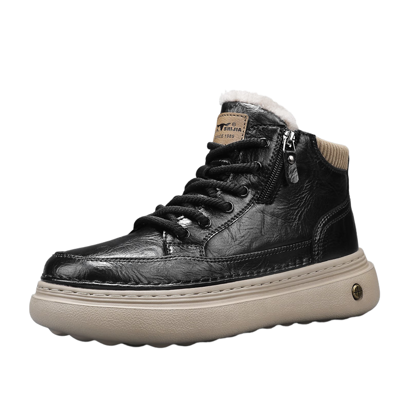 G.N.Shi Jia Men's Martin Boots 2025 Winter New Plush High-Top Shoes Thick Sole Height Increasing Warm Cotton Casual Shoes for Men