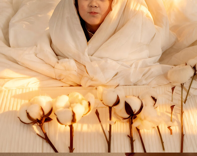 Mercury Home Textile Cotton Quilt Cotton Comforter Core Pure Cotton Class A Xinjiang Cotton Single Approximately 4 Jin 150x210cm 17