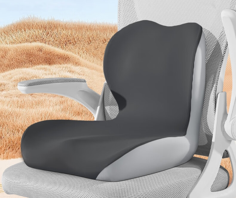 Meiwu Craftsman Memory Foam Student Seat Cushion with Backrest Integrated Classroom Cushion Anti-Pain Dormitory Sitting Pad 2