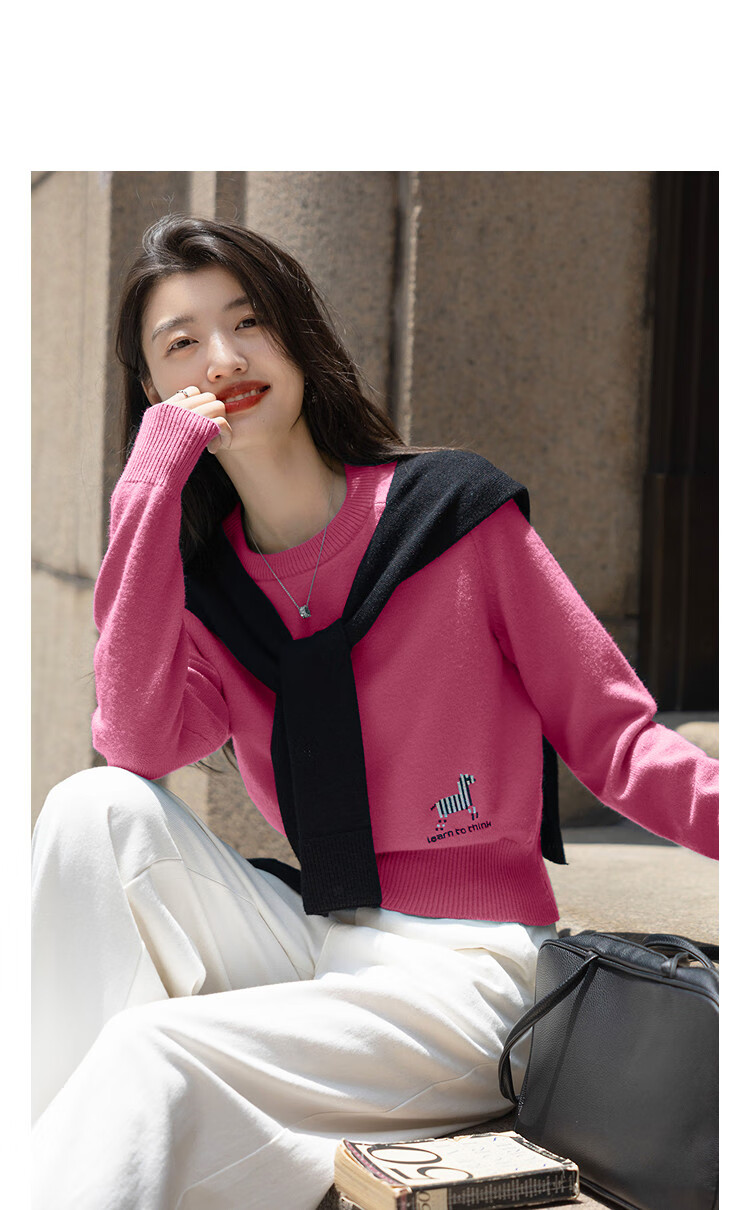 Dme Salt Breeze Roaming Winter Dopamine Embroidered Crewneck Stretchy Knit Sweater for Petite Women 2