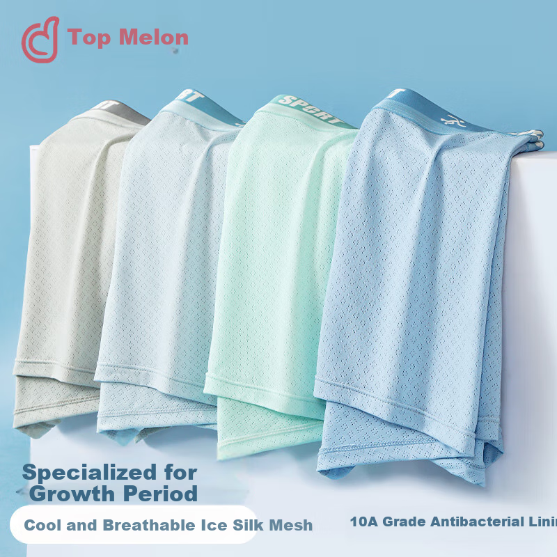 Dingguagua Youth Underwear for Boys, Thin Summer Ice Silk Shorts for Teenagers, High School And Middle School Students in Puberty
