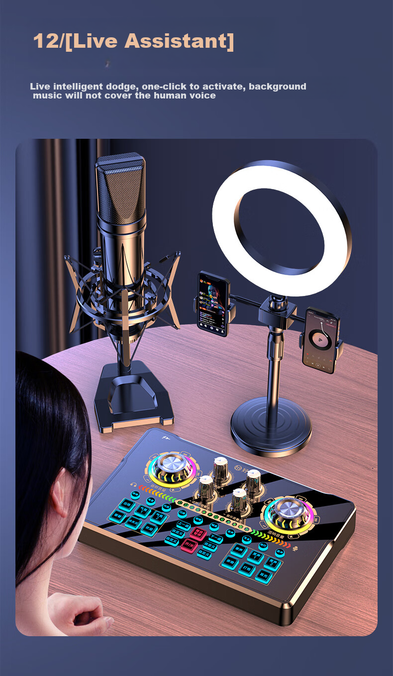 Haomuren Sound Card Kit, Live Streaming Equipment Set, Karaoke Microphone, Mobile Phone Singing Specialized, Internet Celebrity Douyin Host Outdoor Voice Recording, Professional Microphone, Computer Voice Changer 15