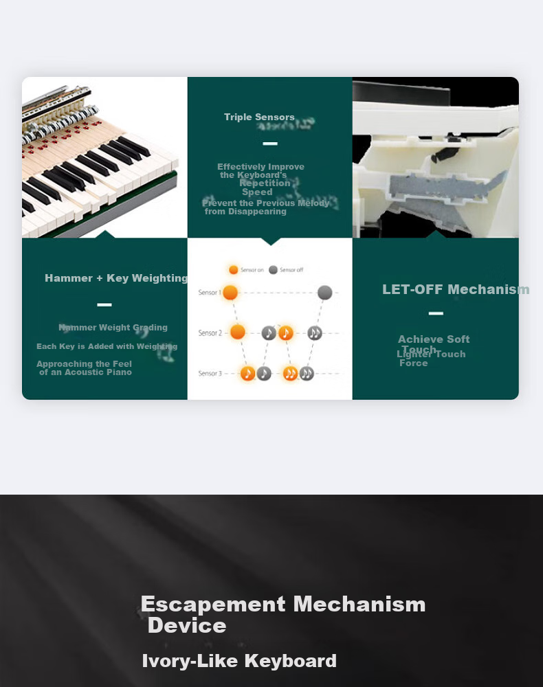 Kawai Digital Piano CN201, Upright Home Use, 88 Weighted Keys, for Adults, Children And Students, Professional Grading Exams 3