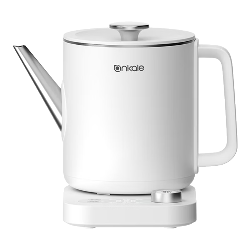 Ankale Food-Grade 316 Stainless Steel Seamless One-Piece Inner Pot Electric Kettle, Household Capacity Automatic Insulation All-In Intelligent Constant Temperature Chlorine Removal Water Boiler AJL-SH1005