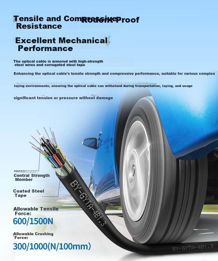 BOYANG GYTS Armored Outdoor Optical Cable, 4-Core Single-Mode Optical Cable, Four-Core Communication Fiber Optic Cable, Twisted Pair Outdoor Overhead/pipeline, 1 Meter, BY-GYTS 6