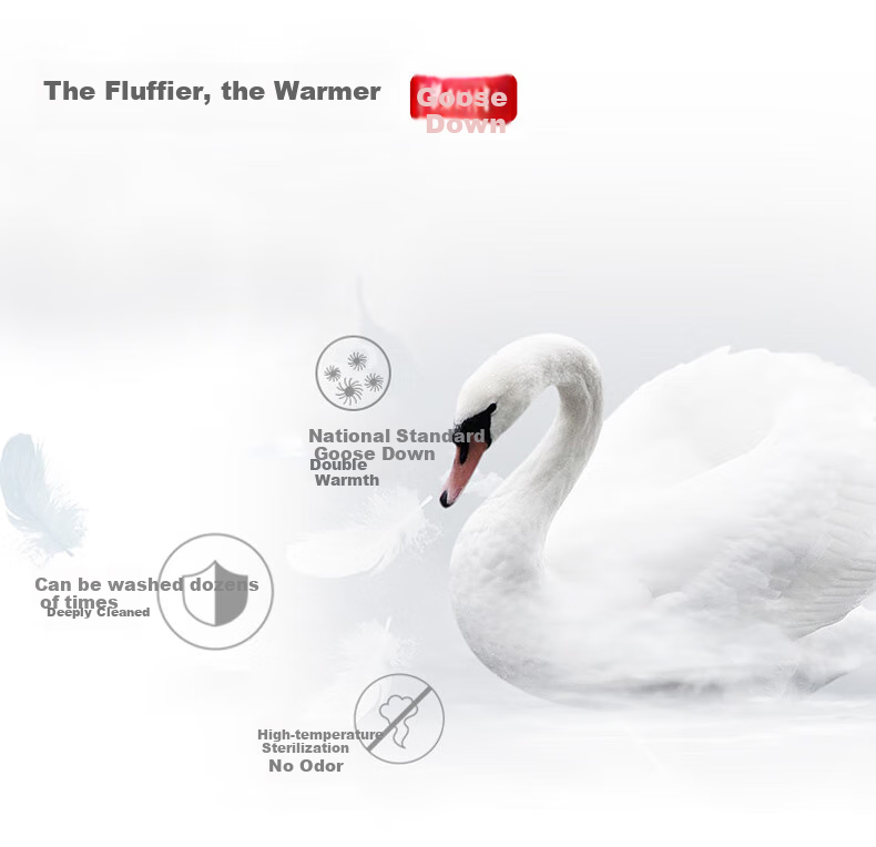 SNOWFLYING Men's Short down Jacket with Detachable Hood, Thickened Warm Casual Business Autumn And Winter Coat, Men's Clothing Size 170 3