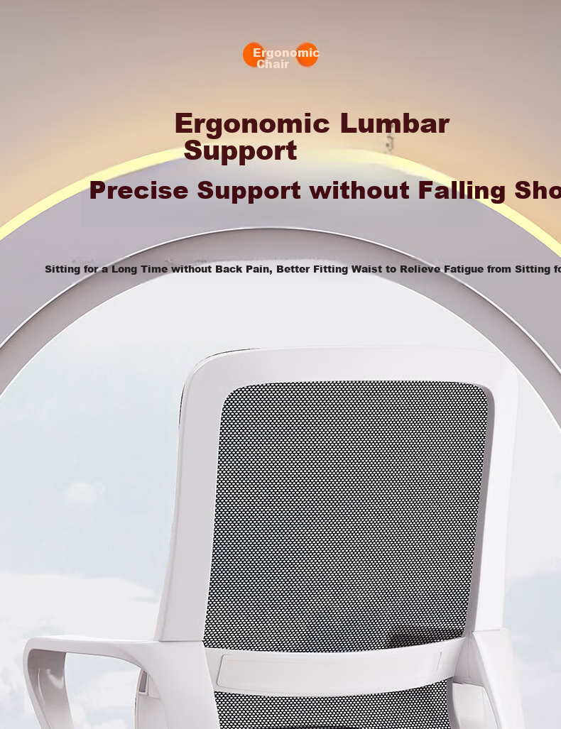 Chibailun Computer Chair, Office Chair, Home Ergonomic Chair, Dormitory Chair, Study Room Bow-Shaped Chair, Gaming Chair 1