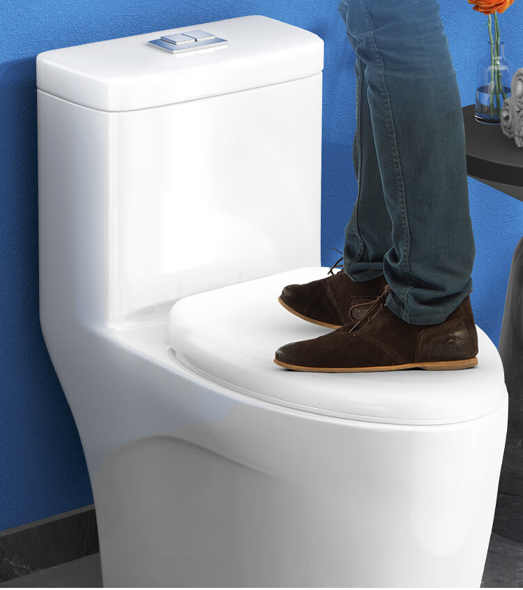 Larsd Toilet Seat Cover, Universal High-Quality Toilet Seat Cover, Thickened V-Shaped Toilet Seat Cover with Slow-Close Mechanism V01 11