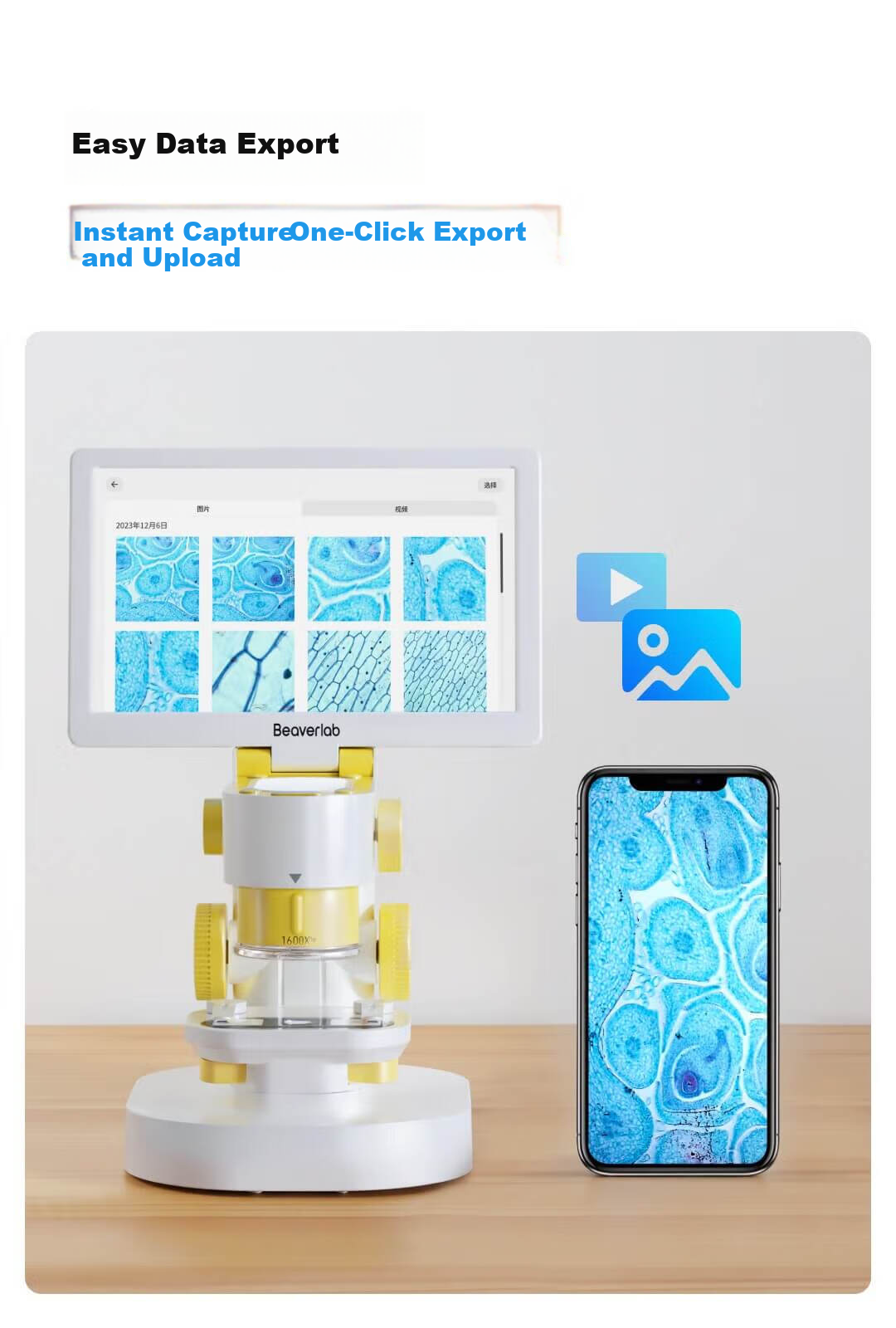 Dangdangli Intelligent Microscope, Professional High-Definition High-Magnification Optical And Electronic Microscope, Scientific Experiment, Birthday Gift for Boys And Girls 19