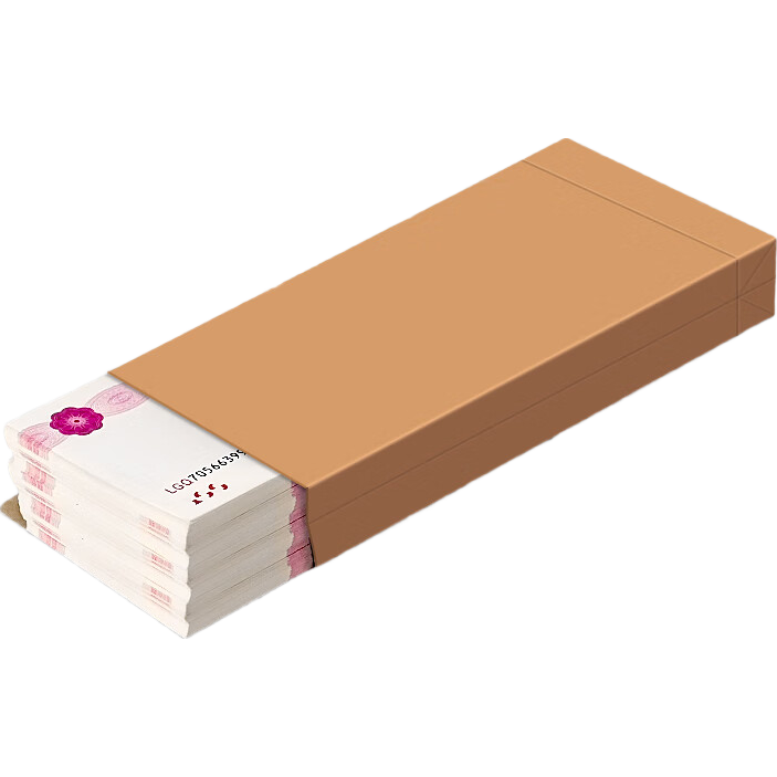 Licao Cash Envelope Kraft Paper Storage Bag Money Cash Organizer Bag 10-Pack Thickened Blank Money Pouch for Bonuses Year-End Awards Salary