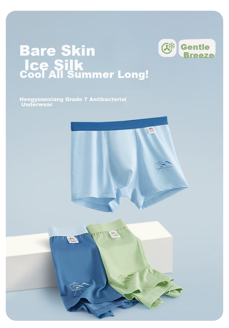Hengyuanxiang Boys' Underwear, Ice Silk Boxer Briefs, Children's Boxer Shorts, Antibacterial Thin Shorts for Older Boys And Teenagers 1