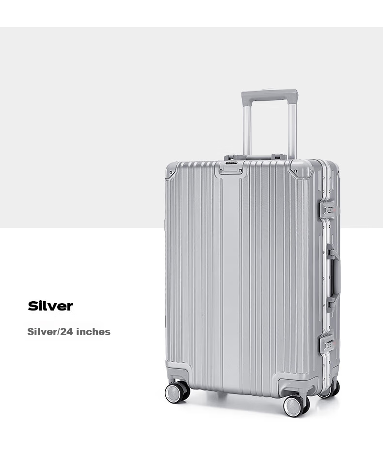 MEXICAN Aluminum Frame Suitcase, Unisex 24-Inch Trolley Case with Password Lock, Travel Luggage for Business Trips, Leather Suitcase, Check-In Luggage, Silver Color 14