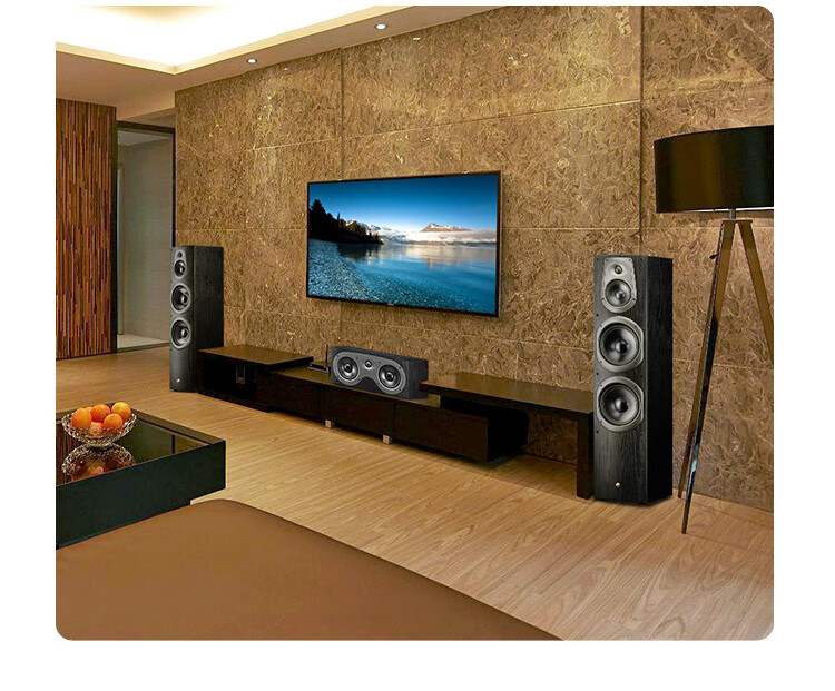 HiVi D60F Home Theater Front Speaker Main Speaker 2.0 Channel Wooden Floor-standing HiFi High Fidelity TV Audio System 1
