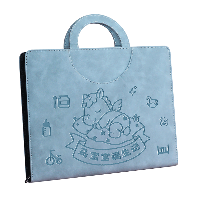 Jiaranheng Horse Year Handheld Pregnancy Check-Up Organizer, Prenatal Report Book, Maternity Pregnancy Record Book, Ultrasound Examination Form, File Folder, Large Capacity Collection Book, Blue