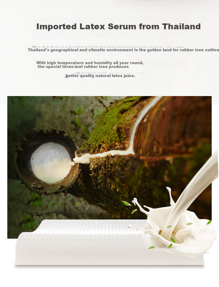 JD Original Shufu Lei Top Luxury Tra Lei Craftsmanship 93% Latex Pillow Wave Cervical Pillow Thai Natural Latex 4