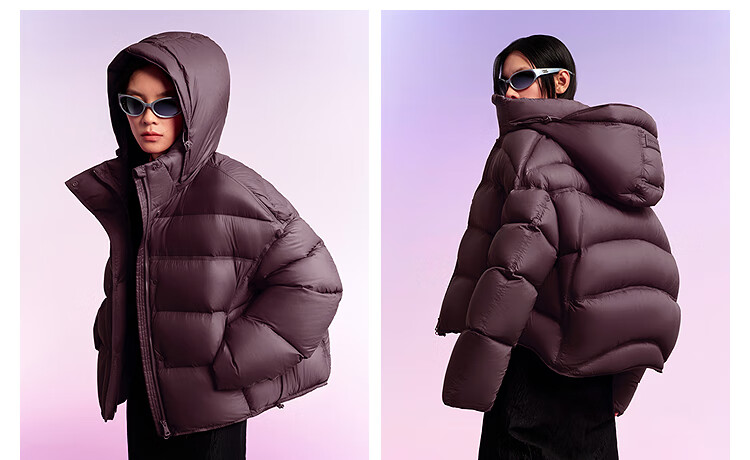 BOSIDENG Women's 25th Anniversary Winter Puffer Thickened Hooded Down Jacket B250243102 Hot Sale Mall Edition 7
