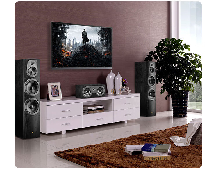 HiVi D60F Home Theater Front Speaker Main Speaker 2.0 Channel Wooden Floor-standing HiFi High Fidelity TV Audio System 2