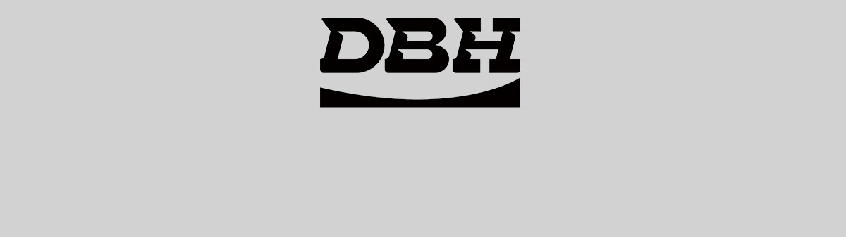 DBH Dream Advanced Professional Double Kick Skateboard for Adults and Children Beginners DBH Holographic 33