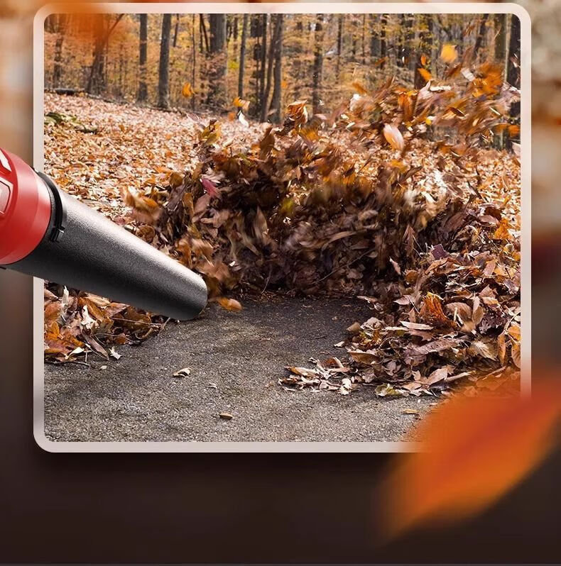 DELIXI ELECTRIC Lithium Battery Hair Dryer High Power Dust Removal Fan Rechargeable Blower Snow Blower Leaf Blower Industrial Dust Collector 6