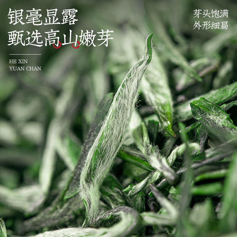 福茗源茶叶 黄山毛峰绿茶 浓香特级三等明前新茶安徽春茶嫩芽罐装40g
