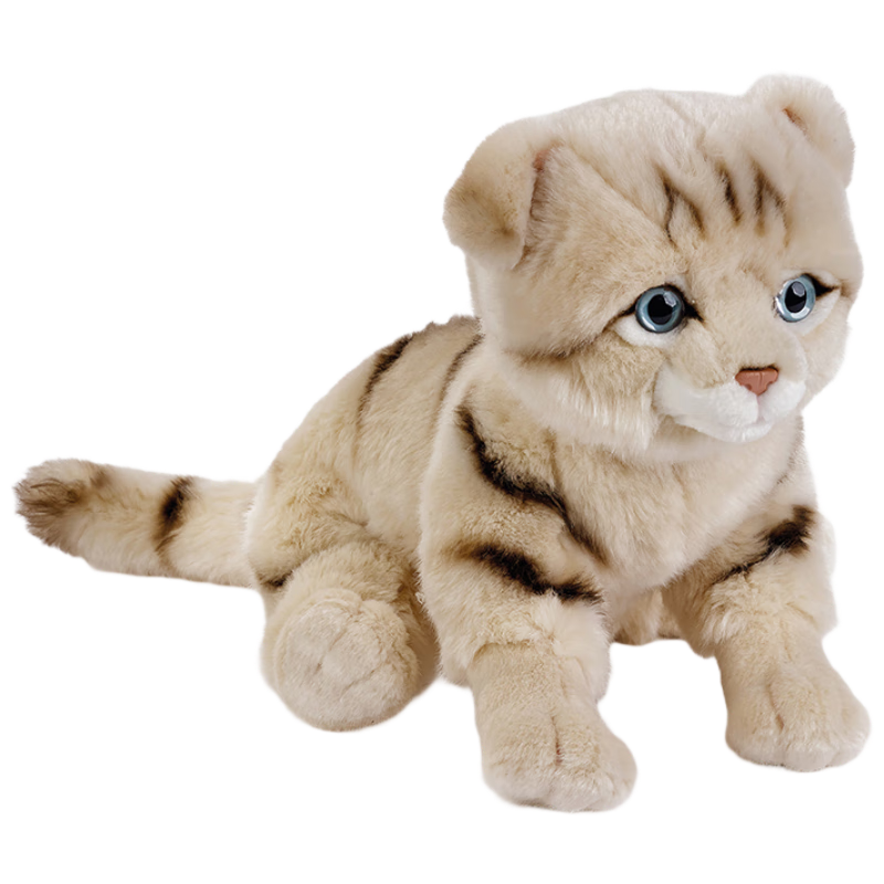 AI CAN National Geographic Scottish Fold Cat Plush Toy, Realistic High-Quality Abeebe, Birthday Gift for Men And Wome