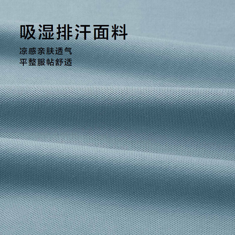 HLA Hailan Home Men's Polo Shirt 26 Light Business Fashion Series Cool Short Sleeve Summer