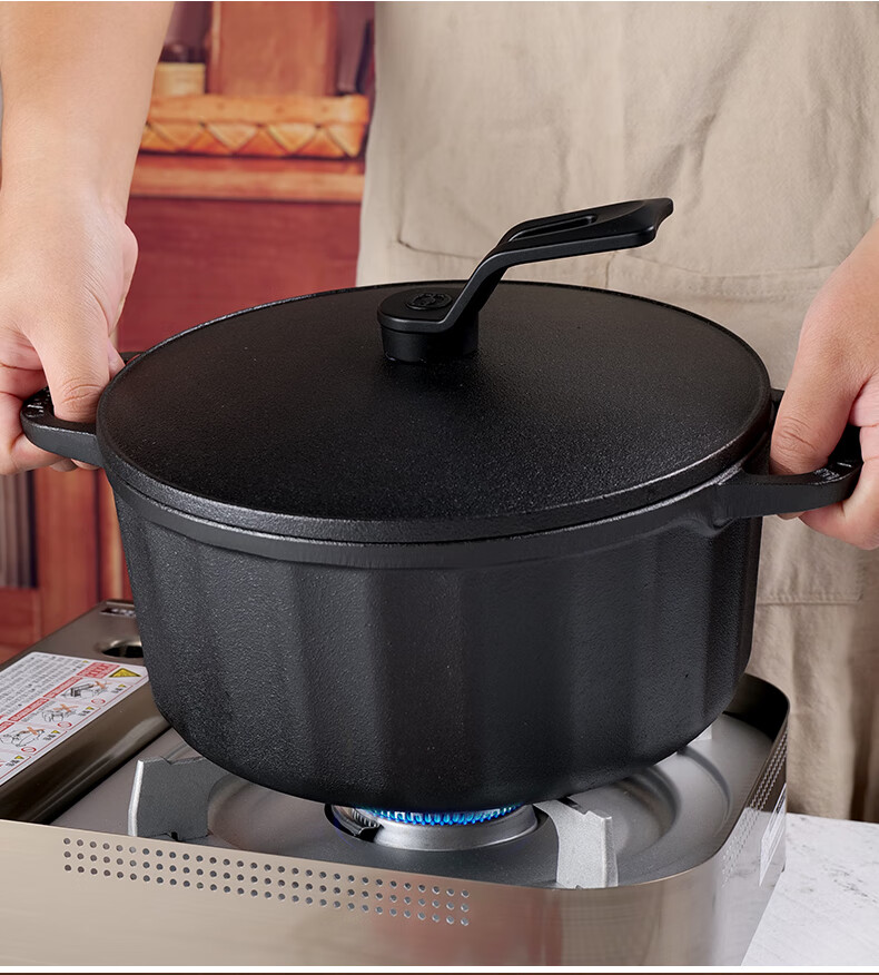 JiuZhu New 25cm Cast Iron Stew Pot Thickened Uncoated Traditional Iron Soup Pot for Gas Stove and Induction Cooker Home Use 2