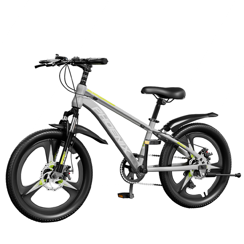 Phoenix Children's Mountain Bike for Ages 3-5 Boys And Girls, Shock-Absorbing, Variable Speed, 22-Inch, Gray