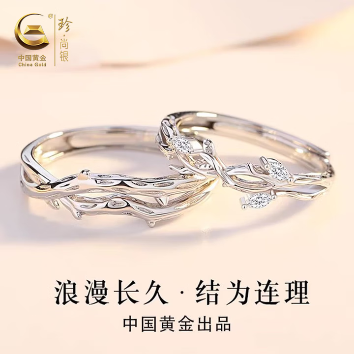 Zhenshangyin Chinese Gold Couple Rings, Silver Rings for Lovers, One Pair, 2026 New Style, Gift for Girlfriend, S925