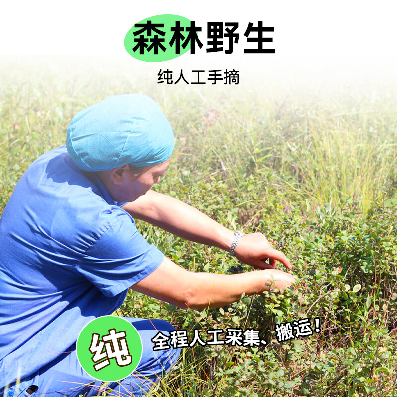 永富 有机大兴安岭野生蓝莓干250g  独立包装 东北特产宝宝儿童零食