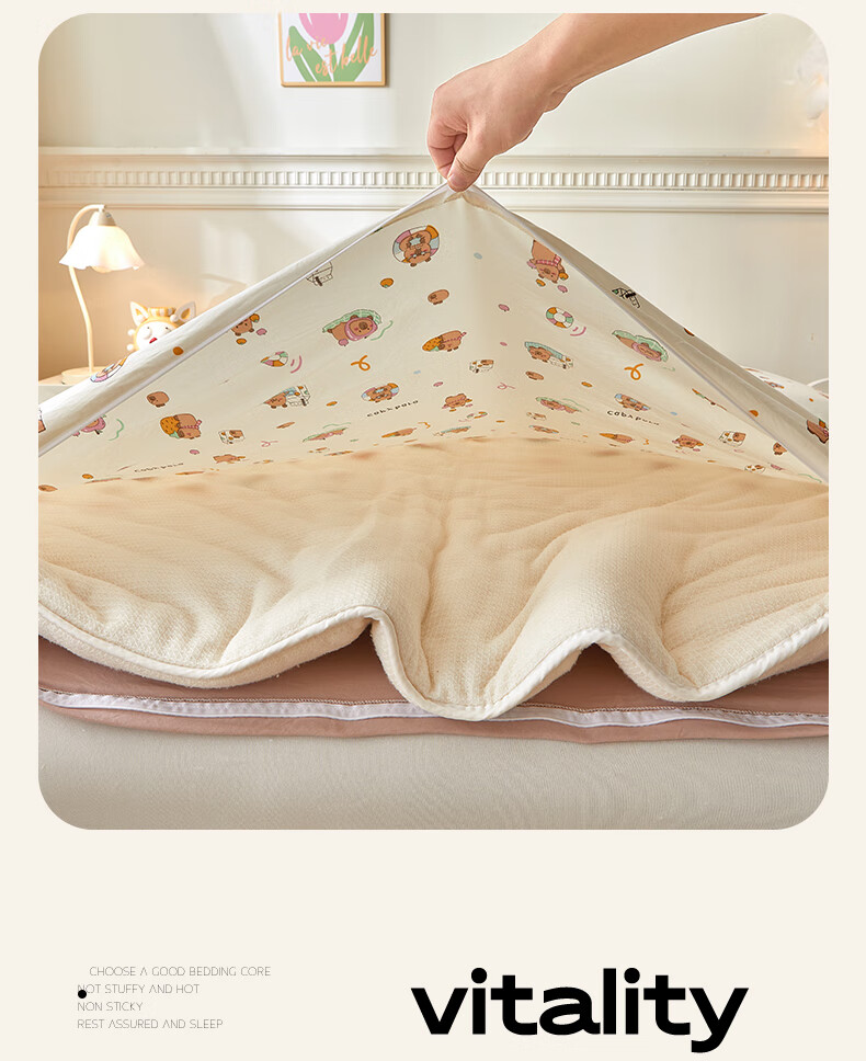 Hongdou Class A Antibacterial Xinjiang Cotton Quilt Air Conditioning Quilt Summer Quilt Spring and Autumn Cotton Four Seasons Quilt Core 2*2.3m 4 Jin Card 5