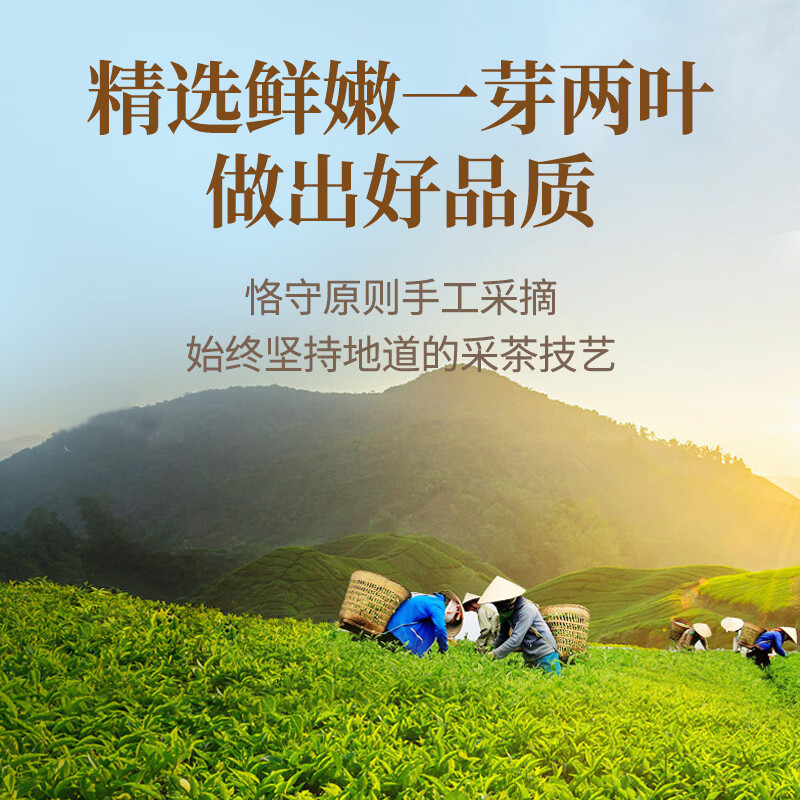 传奇会红茶 英德英红九号 花香型特级250g 罐装茶叶自己喝春节送礼年货