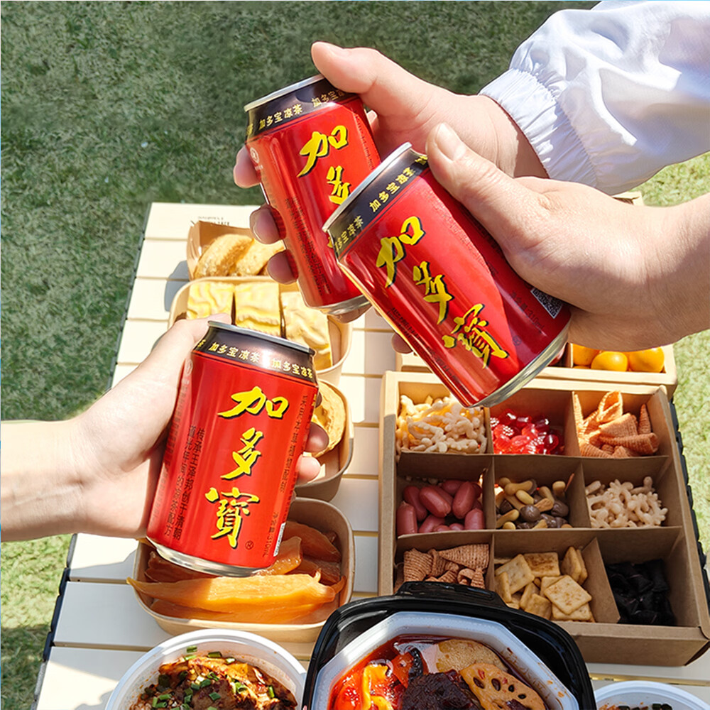 加多宝凉茶植物饮料310ml*12罐