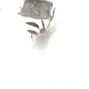 White Image 2