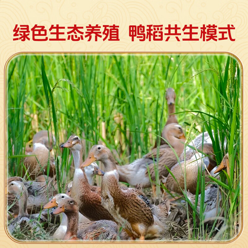 聖上壹品有机五常大米10斤 金奖系列 充氮独立小包装 当季新米500g*10袋