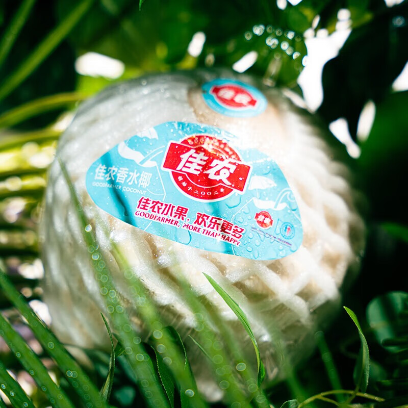 佳农泰国进口椰青 6粒单果约800g 赠开椰器吸管新鲜水果源头直发