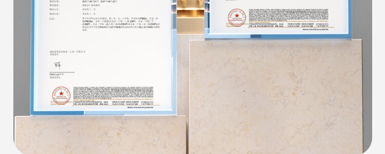 Zichen Hard Diatom Mud Water-Absorbent Bath Mat Non-Slip Anti-Fall Entrance Bathroom Quick-Dry Floor Rug Toilet Carpet 65