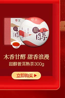 大益（TAETEA）中华老字号 光阴 生茶砖茶普洱茶1401...