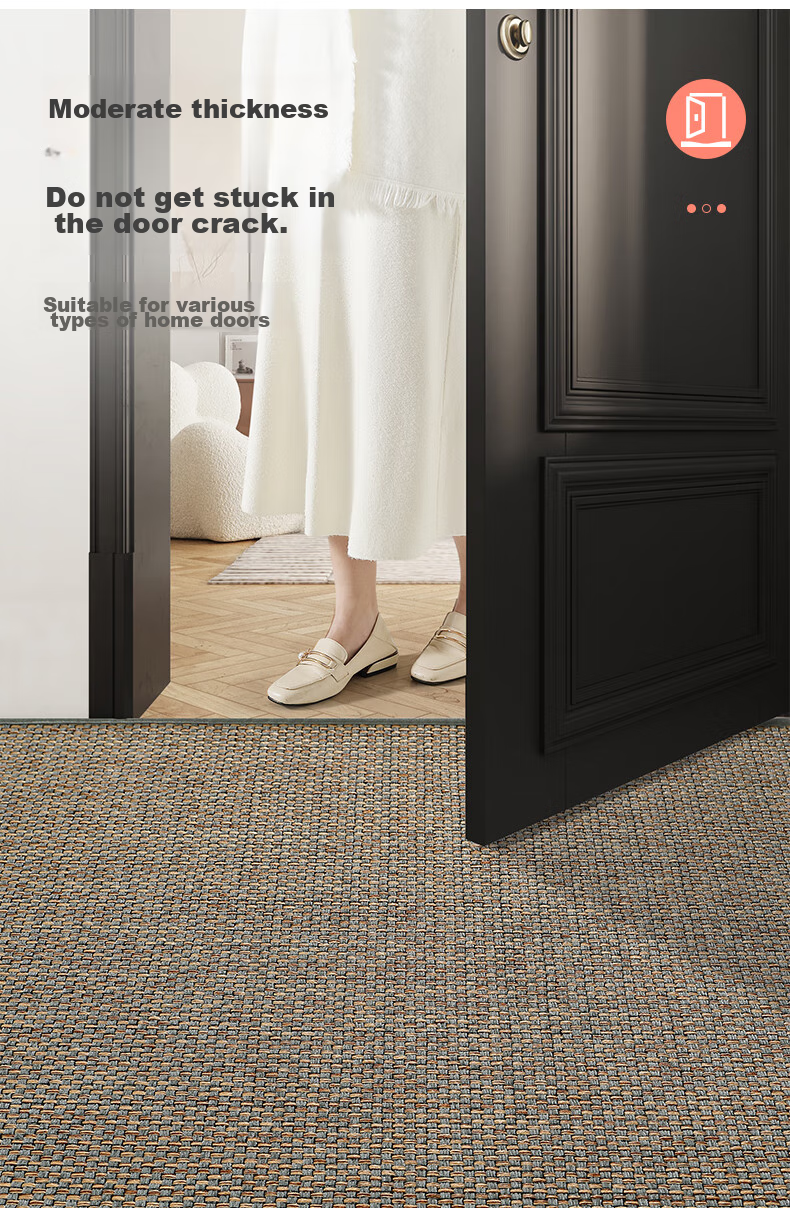 Dajiang Entrance Mat, Doorway Rug, Entryway Doormat, Foyer Mat, Luxurious High-End Carpet for Entrance, 80x120cm 8