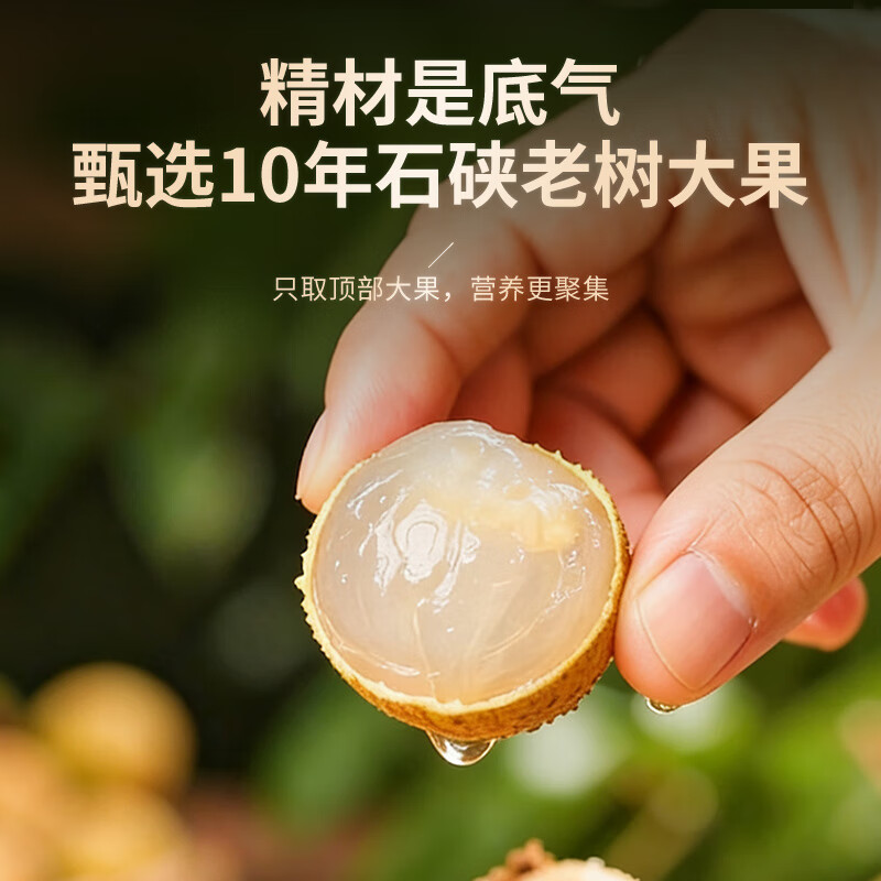 半山农 桂圆肉500克 无核免剥龙眼肉 煲汤个大肉厚即食桂圆干货礼品