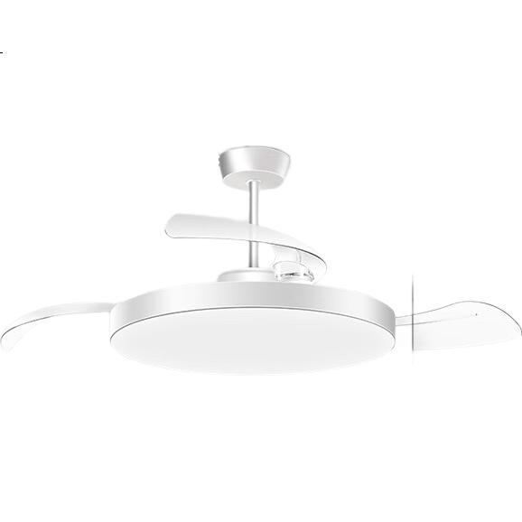 White Image 1