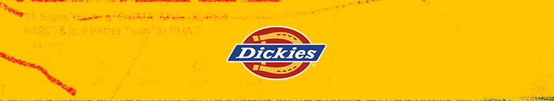 Dickies Women's Backpack Mini School Bag Pink Bowknot for High School and College Students Commuting and Classes 1