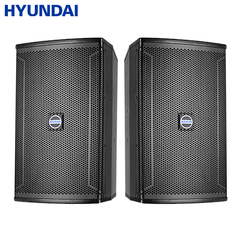 HYUNDAI Modern Home Theater KTV Passive Speaker Karaoke Home Singing Equipment Living Room Karaoke Speaker Card Speaker