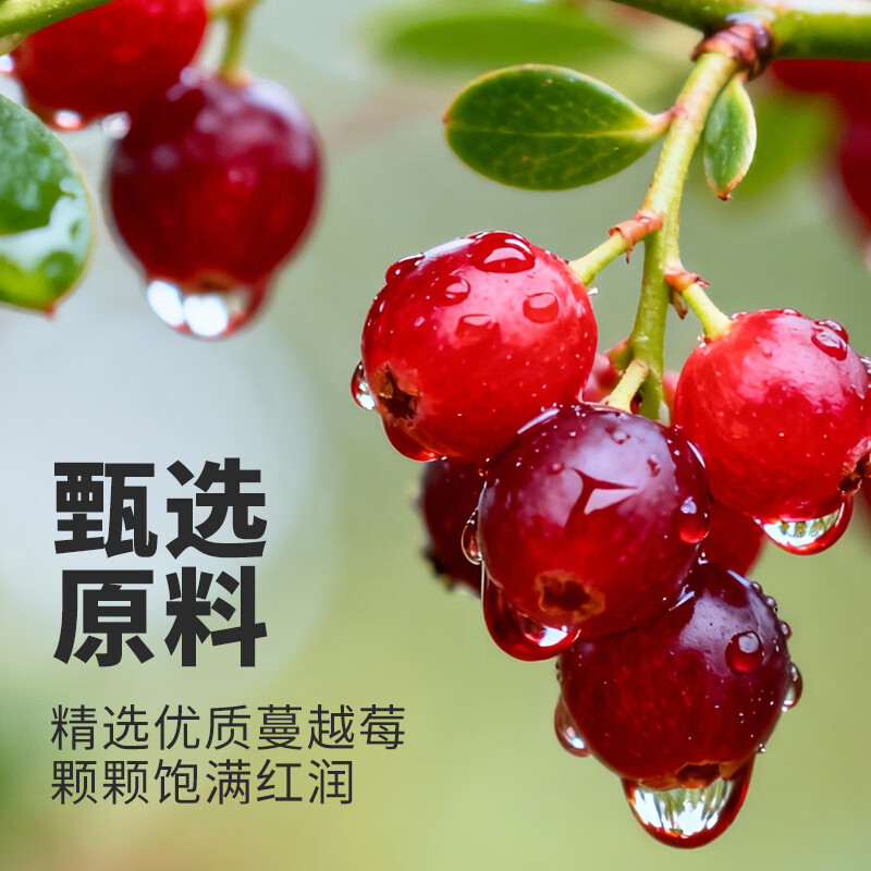 舒可曼蔓越莓干100g 烘焙原料蛋糕面包曲奇饼干馅料蜜饯水果干休闲零食