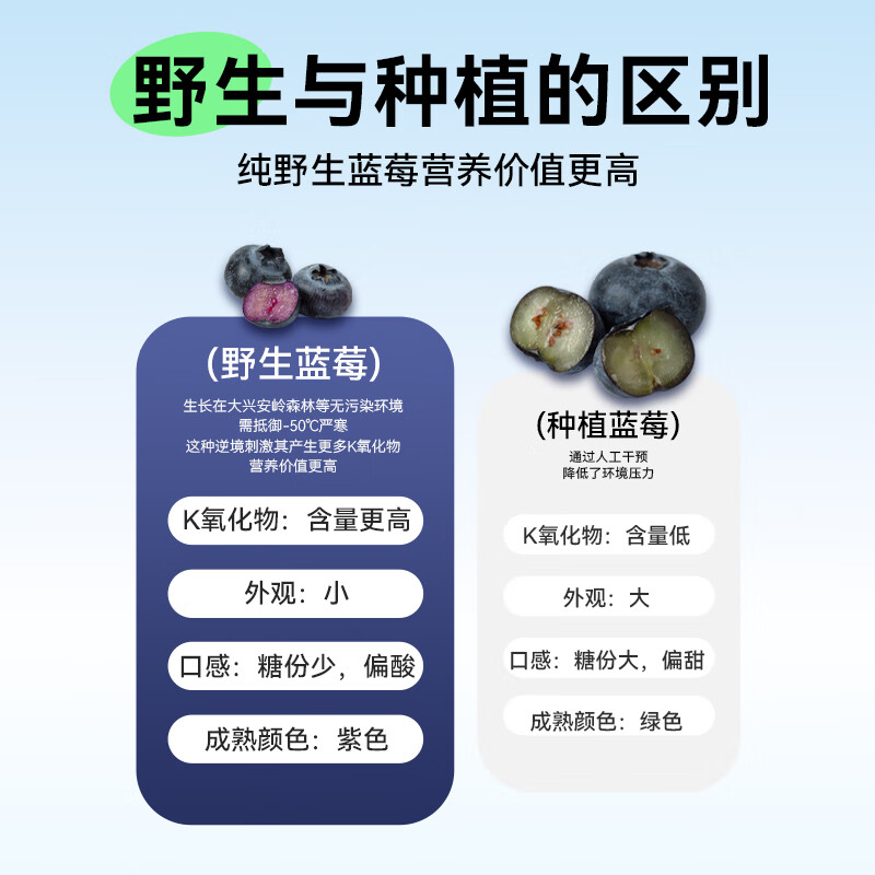 永富 有机大兴安岭野生蓝莓干250g  独立包装 东北特产宝宝儿童零食