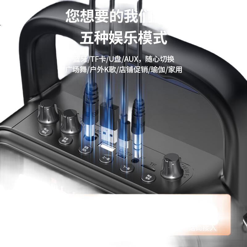 Портативная Bluetooth-колонка NINTAUS S59 с микрофоном, караоке, для улицы, дома
