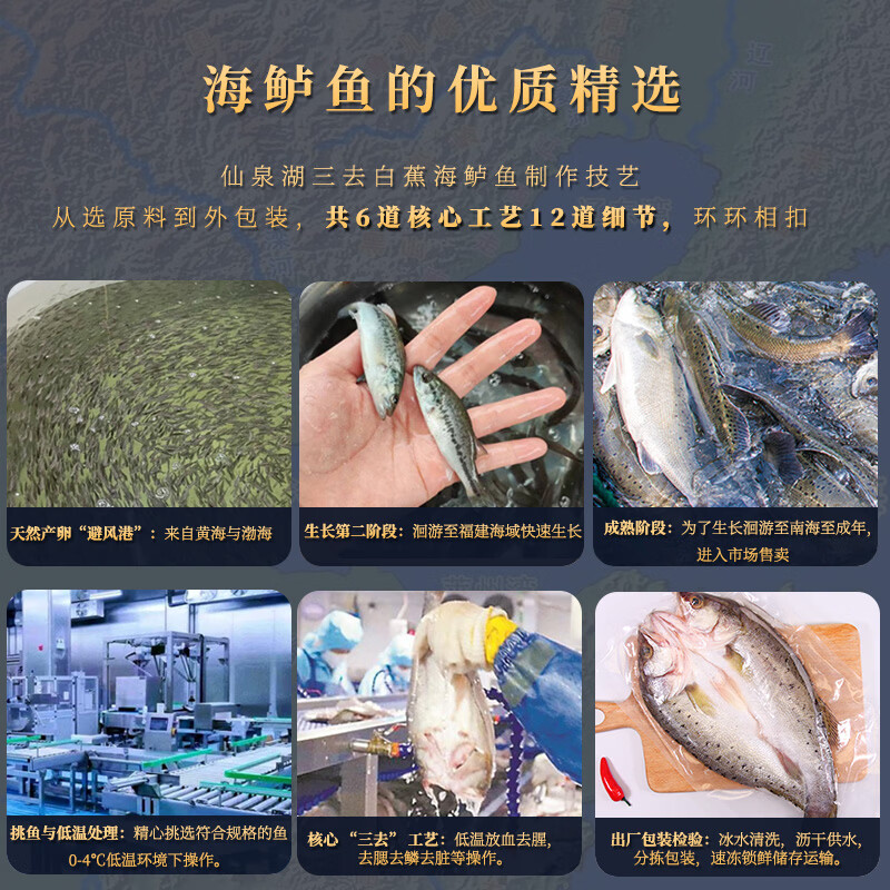 仙泉湖三去白蕉海鲈鱼1斤/条净膛刺少肉厚珠海特产500g海鲜水产生鲜食材